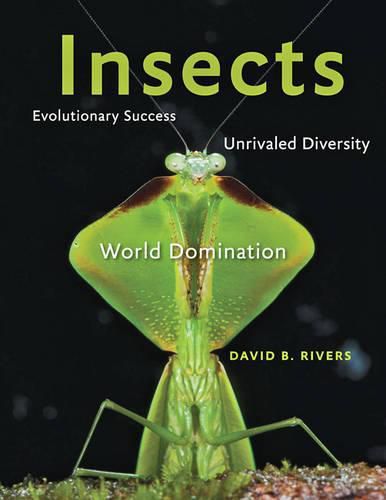 Insects: Evolutionary Success, Unrivaled Diversity, and World Domination