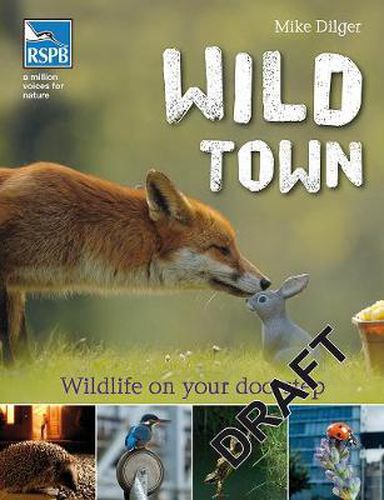 Cover image for Wild Town