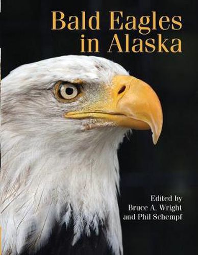 Cover image for Bald Eagles in Alaska