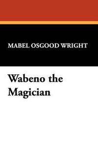 Cover image for Wabeno the Magician