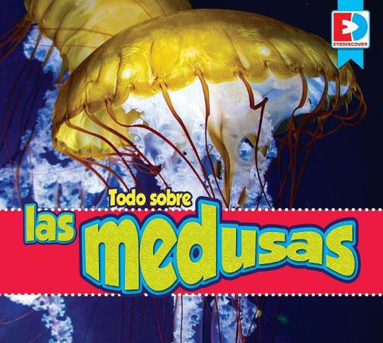 Cover image for Todo Sobre Las Medusas