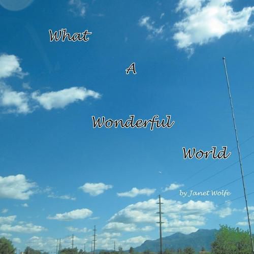 Cover image for What a Wonderful World