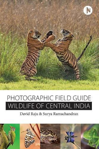 Cover image for Wildlife of Central India: Photographic Field Guide