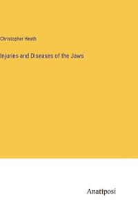 Cover image for Injuries and Diseases of the Jaws