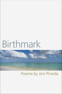 Cover image for Birthmark