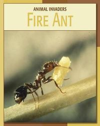 Cover image for Fire Ant