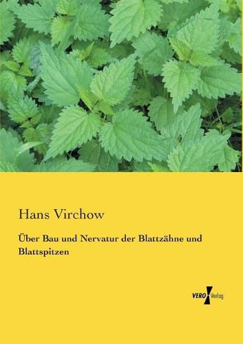 Cover image for UEber Bau und Nervatur der Blattzahne und Blattspitzen