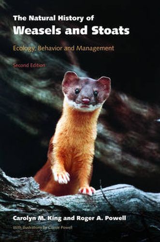 Cover image for The Natural History of Weasels and Stoats: Ecology, Behaviour, and Management