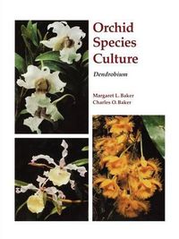 Cover image for Orchid Species Culture: Dendrobium