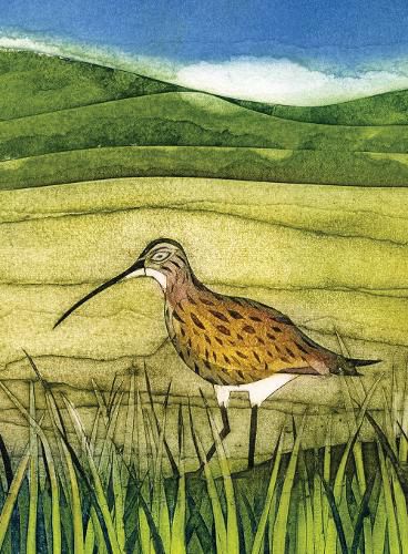 Cover image for Wild Birds Pocket Notebook: Curlew