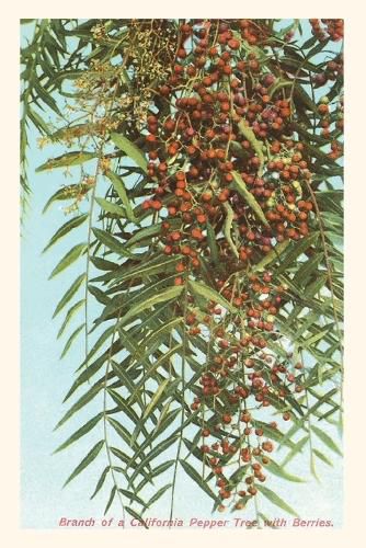 Cover image for The Vintage Journal California Pepper Berries