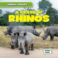 Cover image for A Crash of Rhinos