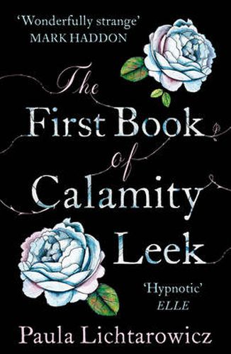 Cover image for The First Book of Calamity Leek