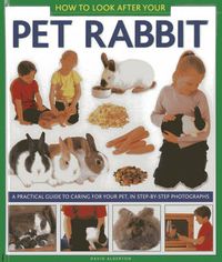 Cover image for How to Look After Your Pet Rabbit