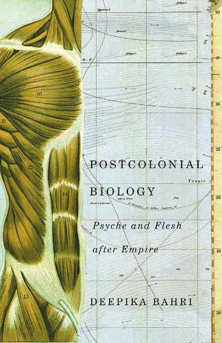 Cover image for Postcolonial Biology: Psyche and Flesh after Empire