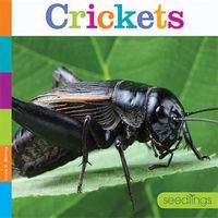 Cover image for Crickets