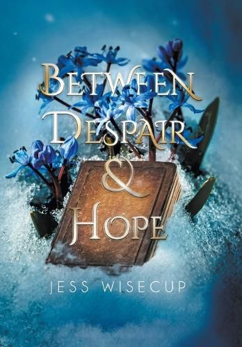 Cover image for Between Despair and Hope