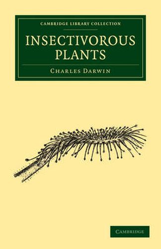 Cover image for Insectivorous Plants