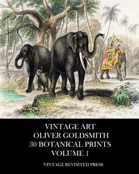 Cover image for Vintage Art: Oliver Goldsmith 30 Botanical Prints Volume 1