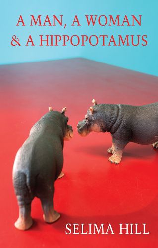 Cover image for A Man, a Woman & a Hippopotamus