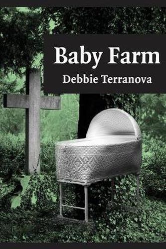 Cover image for Baby Farm