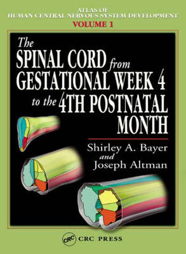 Cover image for The Spinal Cord from Gestational Week 4 to the 4th Postnatal Month