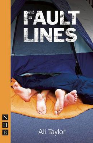 Cover image for Fault Lines