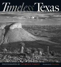 Cover image for Timeless Texas