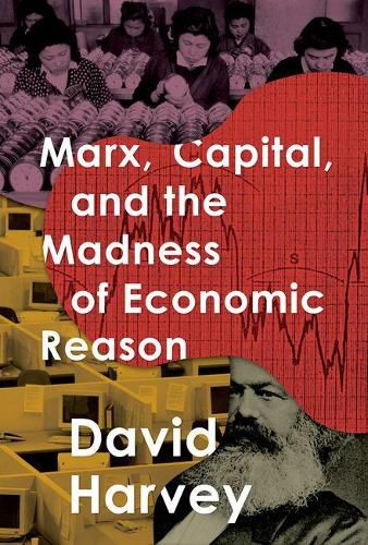 Cover image for Marx, Capital, and the Madness of Economic Reason