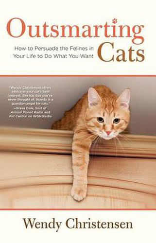 Cover image for Outsmarting Cats: How To Persuade The Felines In Your Life To Do What You Want