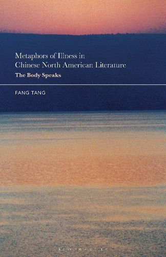 Cover image for Metaphors of Illness in Chinese North American Literature