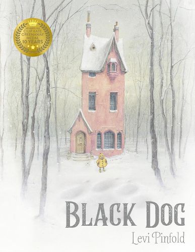 Cover image for Black Dog