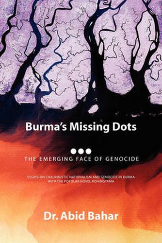 Cover image for Burma's Missing Dots