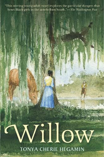 Cover image for Willow