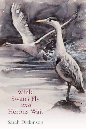 Cover image for While Swans Fly and Herons Wait