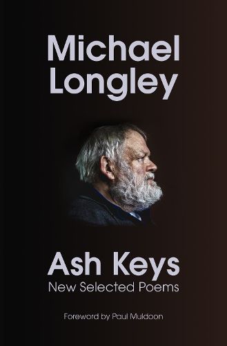 Cover image for Ash Keys