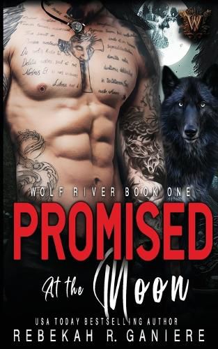 Cover image for Promised at the Moon