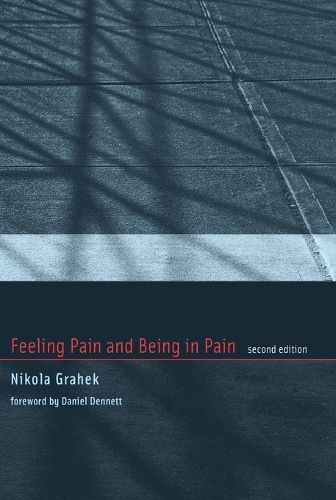 Cover image for Feeling Pain and Being in Pain