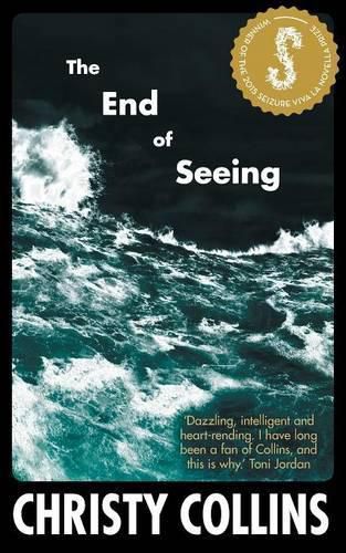 Cover image for The End of Seeing