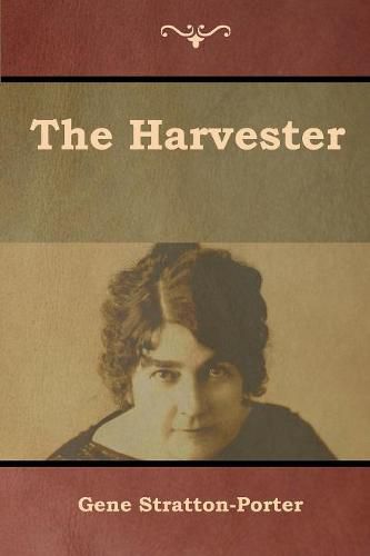 Cover image for The Harvester