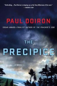 Cover image for The Precipice