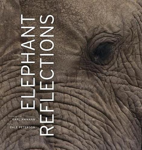 Cover image for Elephant Reflections