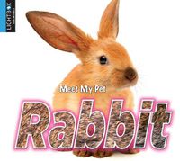 Cover image for Rabbit