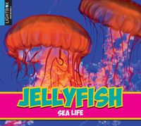 Cover image for Jellyfish