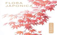 Cover image for Flora Japonica