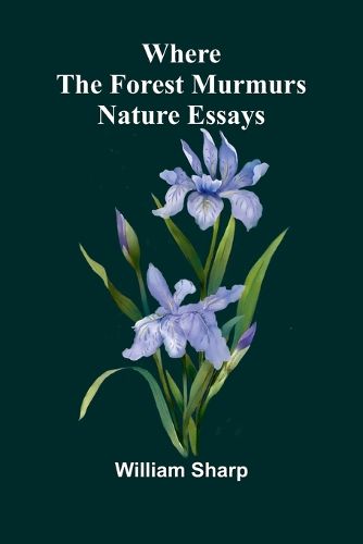 Cover image for The Yale Cup (Edition1)