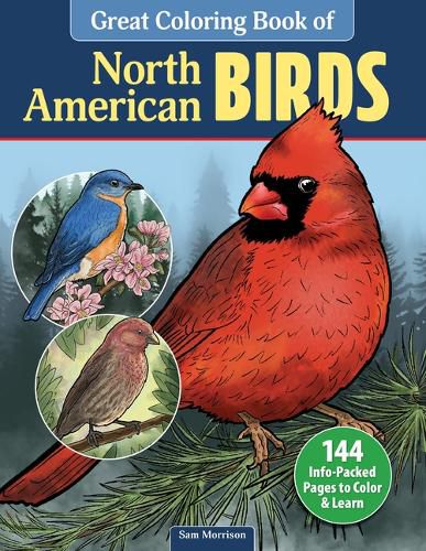 Cover image for Great Coloring Book of North American Birds