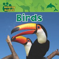 Cover image for Birds