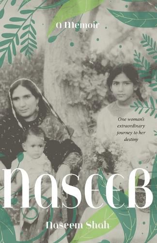 Cover image for Naseeb