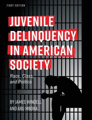 Cover image for Juvenile Delinquency in American Society